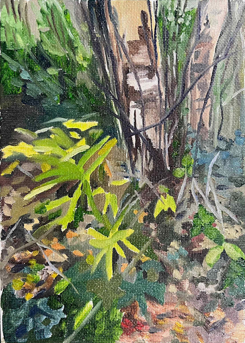 Mini Forest Floor by Sarah Dee Barrett, Image 1.