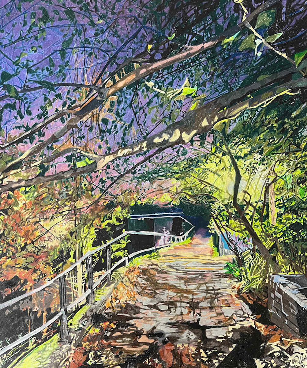 Night Walks by Sarah Dee Barrett, Image 1.