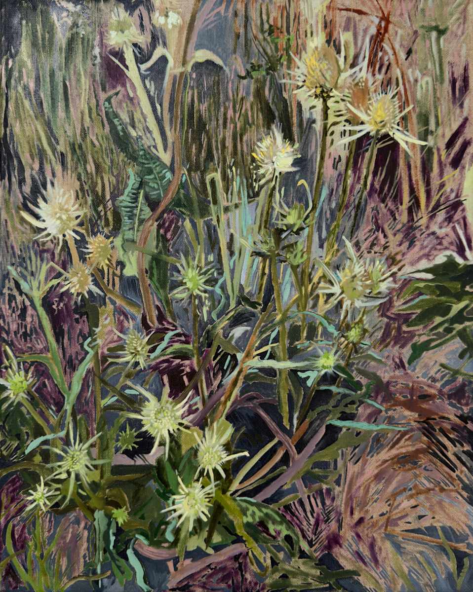 Teasel by Sarah Dee Barrett, Image 1.