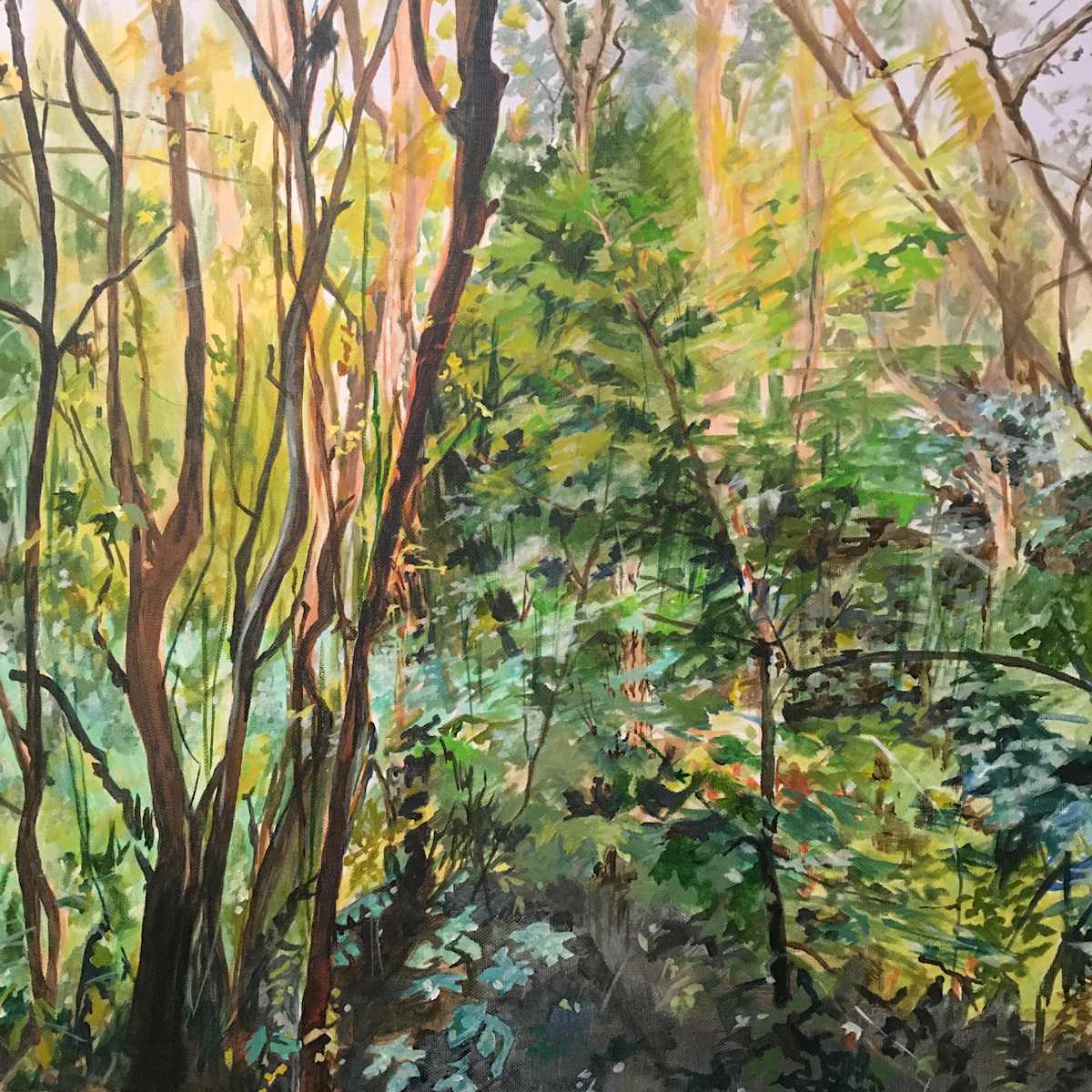 Waterworks Reserve by Sarah Dee Barrett 