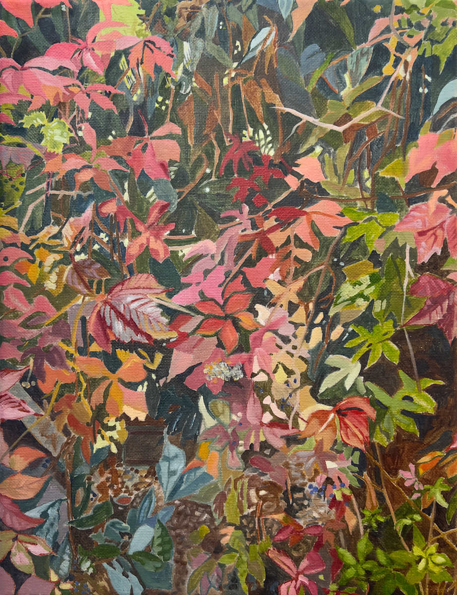 Rainbow Thicket by Sarah Dee Barrett 