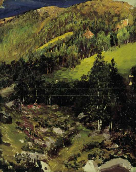 Chamonix by Nikolai Nikanorowitsch Dubowskoi, Image 8.