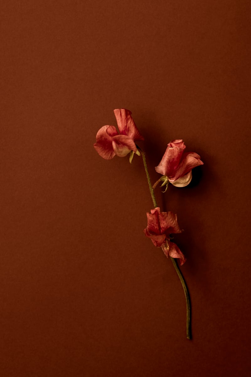 An Earthly Embrace by Stella Gommans  Image: Edition of 10 + 2AP