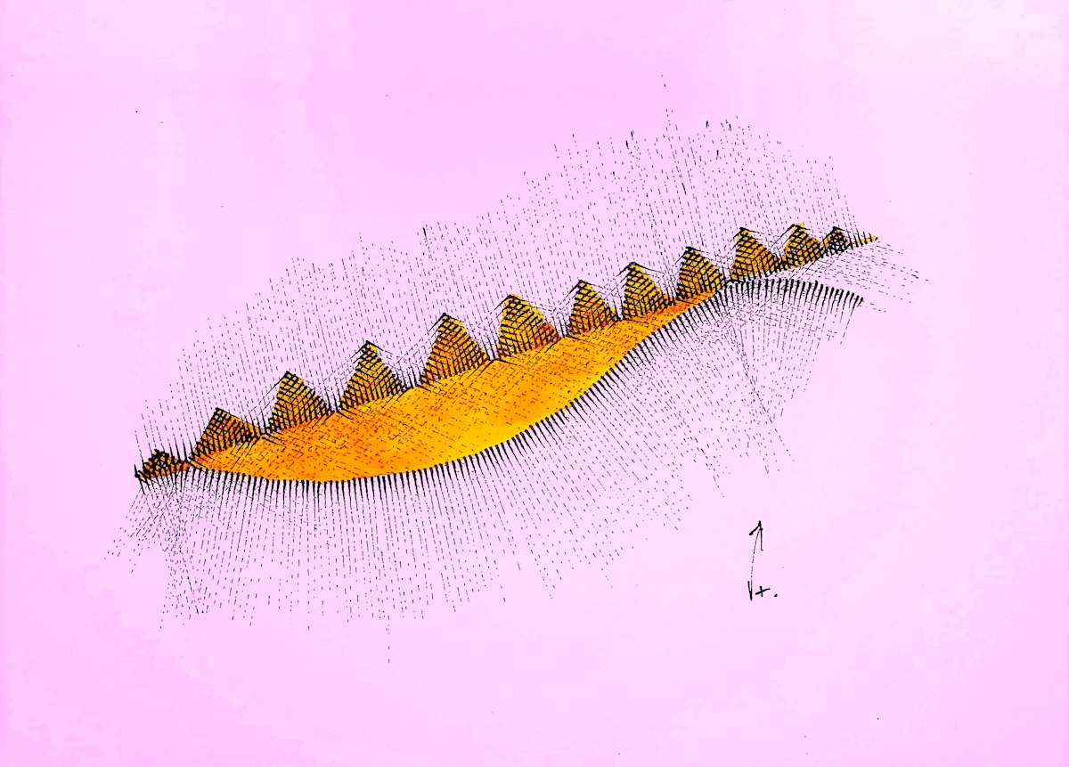 Sans titre (DPF206) by Vincent Batbedat 
