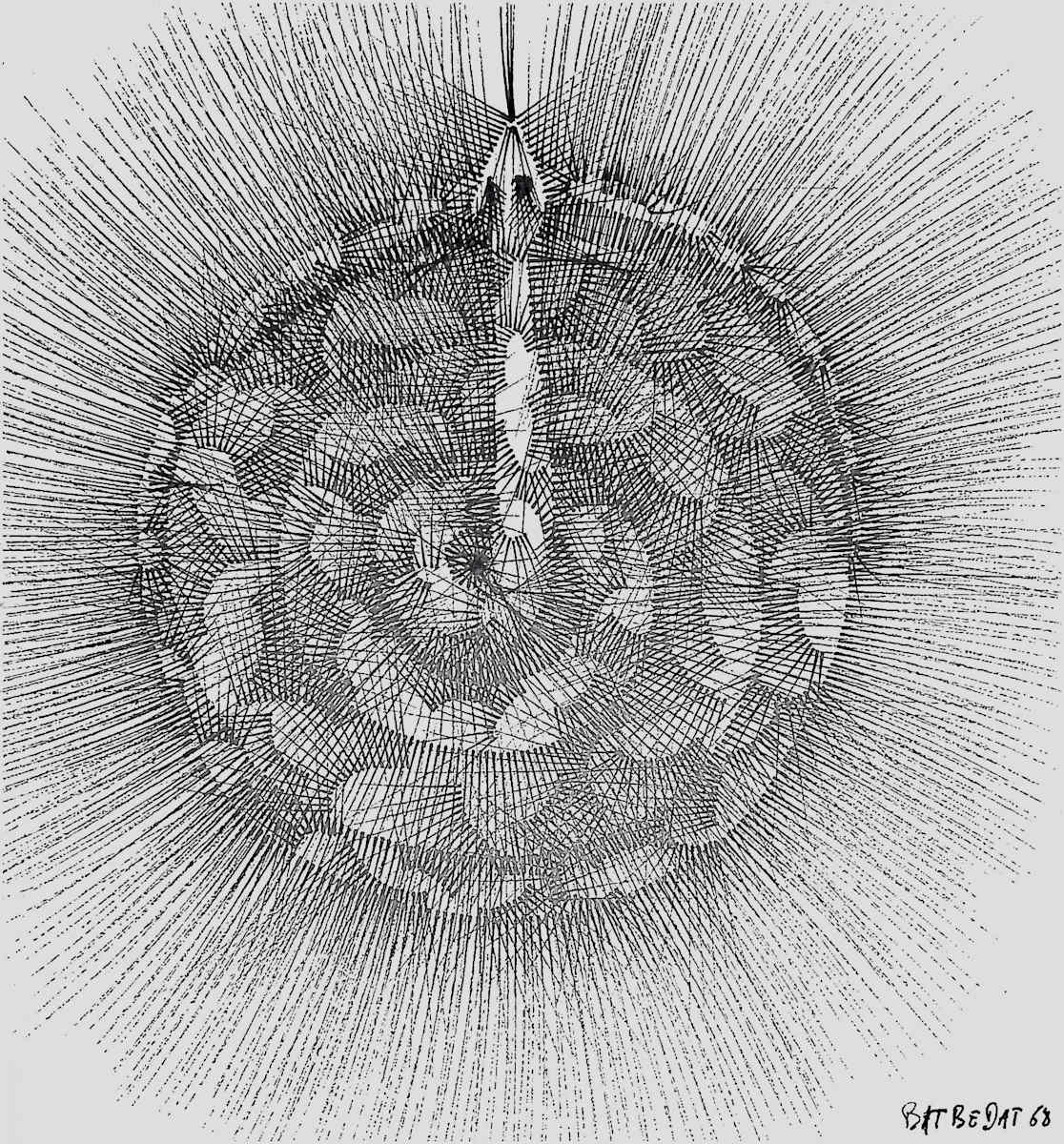 Sans titre (DPF47) by Vincent Batbedat 