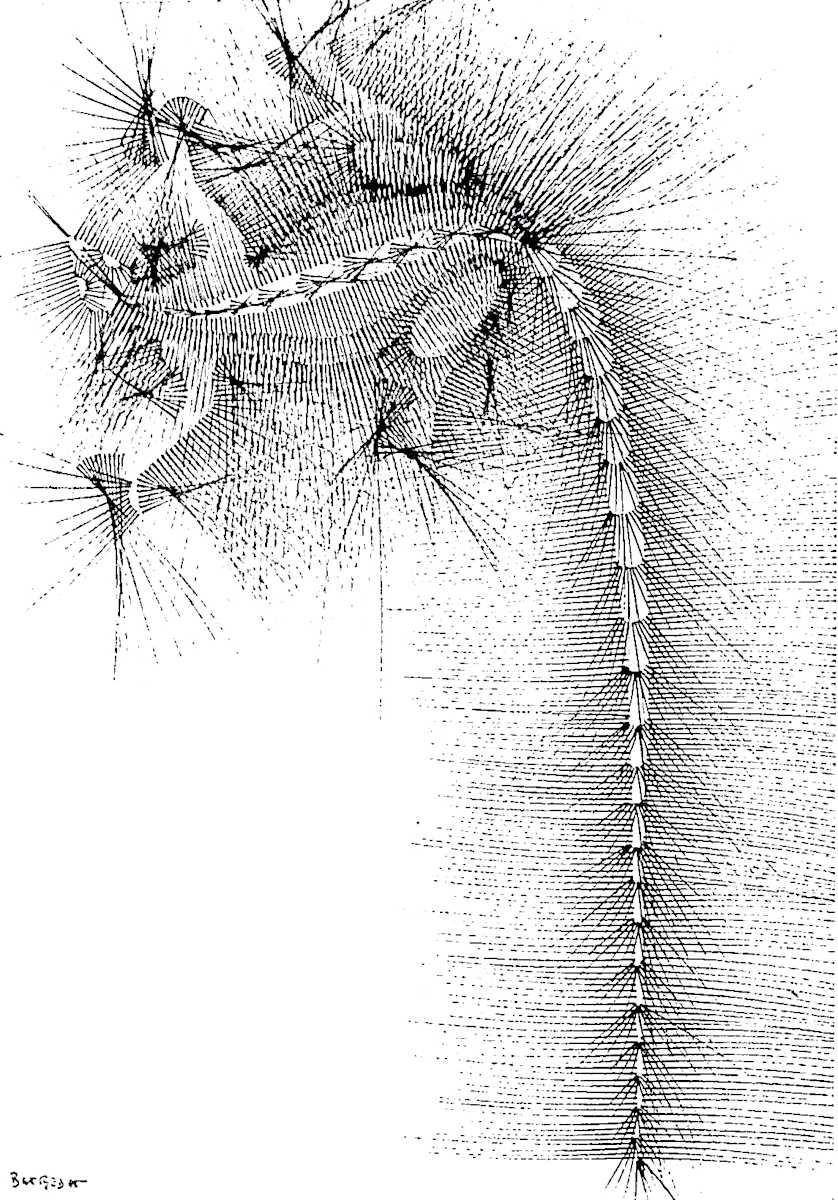 Sans titre (DPF 547) by Vincent Batbedat 