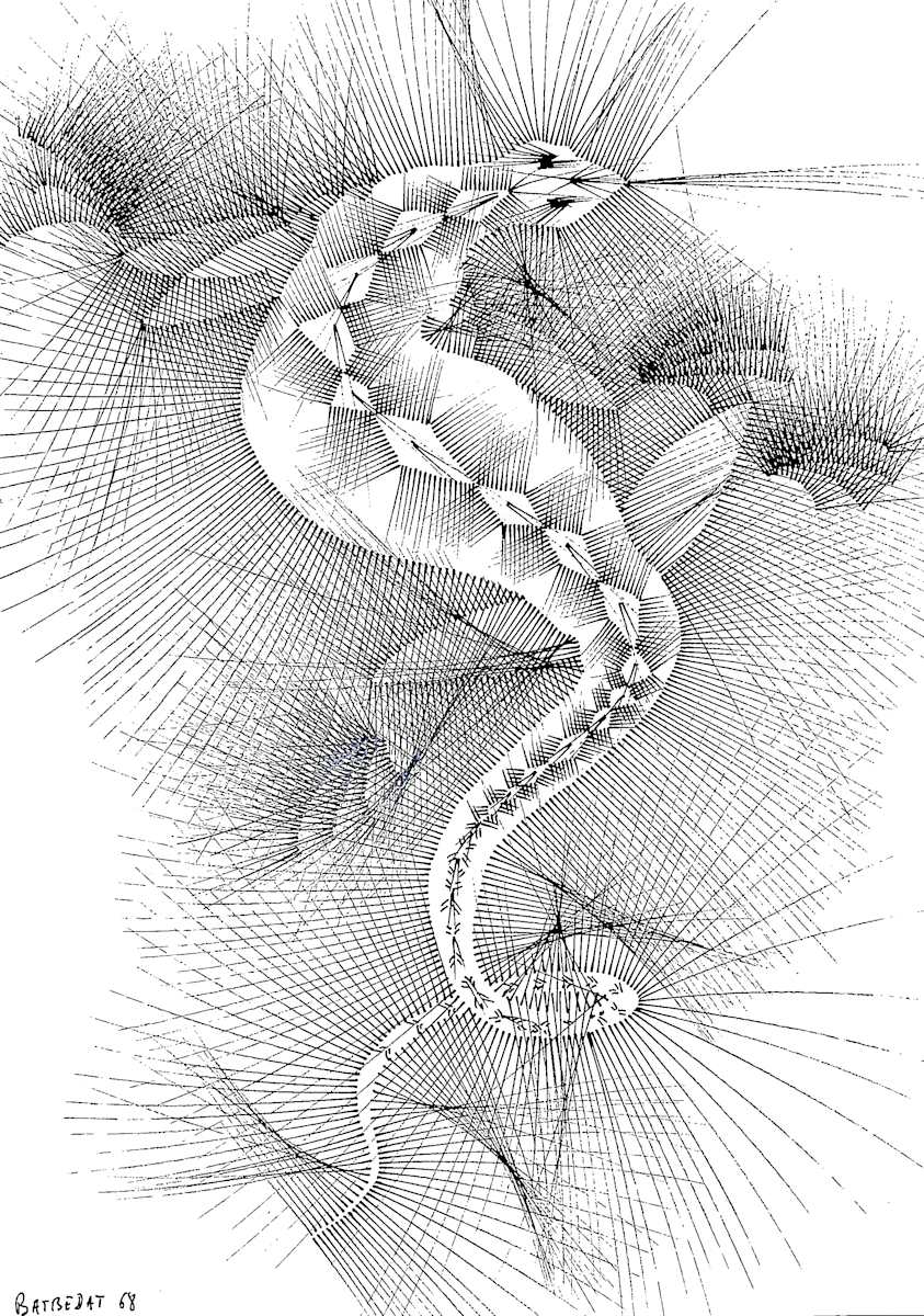 Sans titre (DPF 560) by Vincent Batbedat 