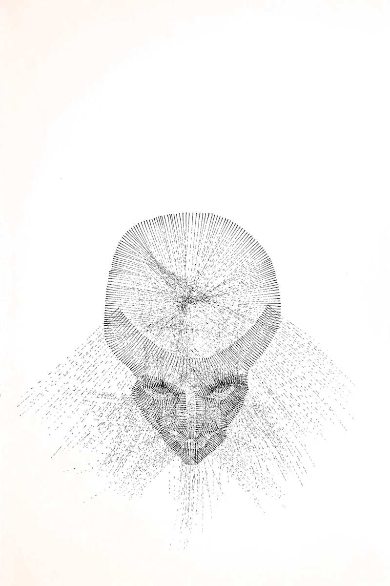 Sans titre (DPF57) by Vincent Batbedat 