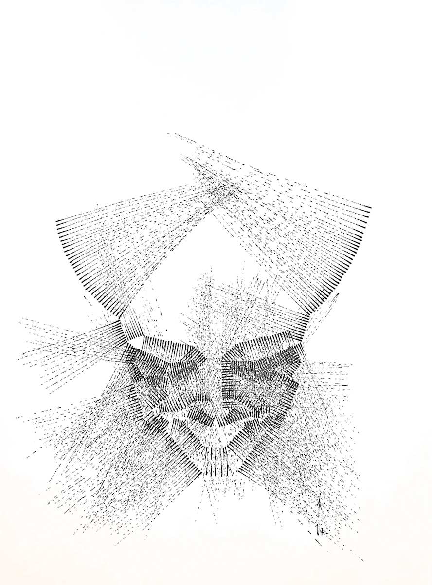 Sans titre (DPF75) by Vincent Batbedat 