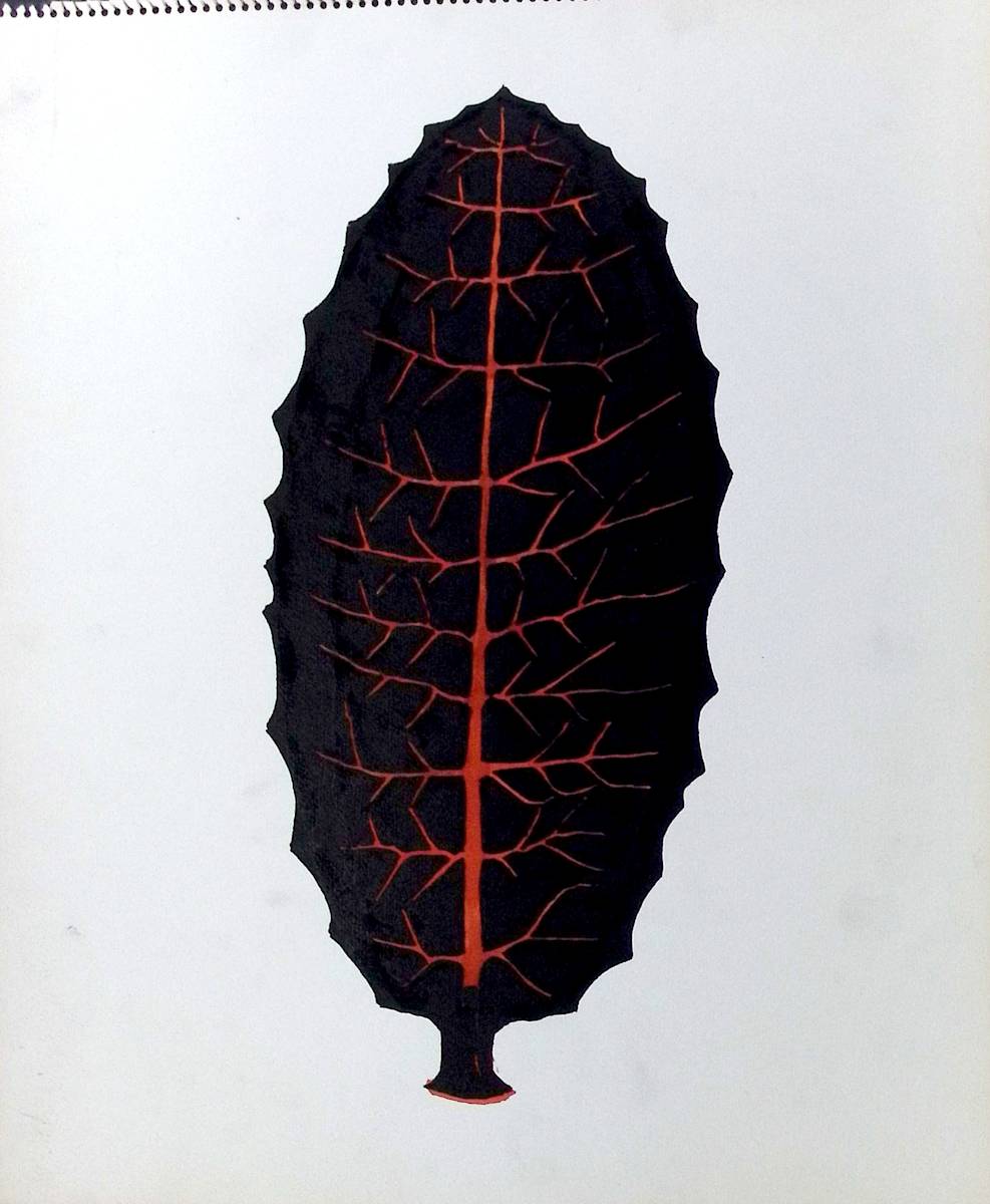 Sans titre (DPF 866) by Vincent Batbedat 