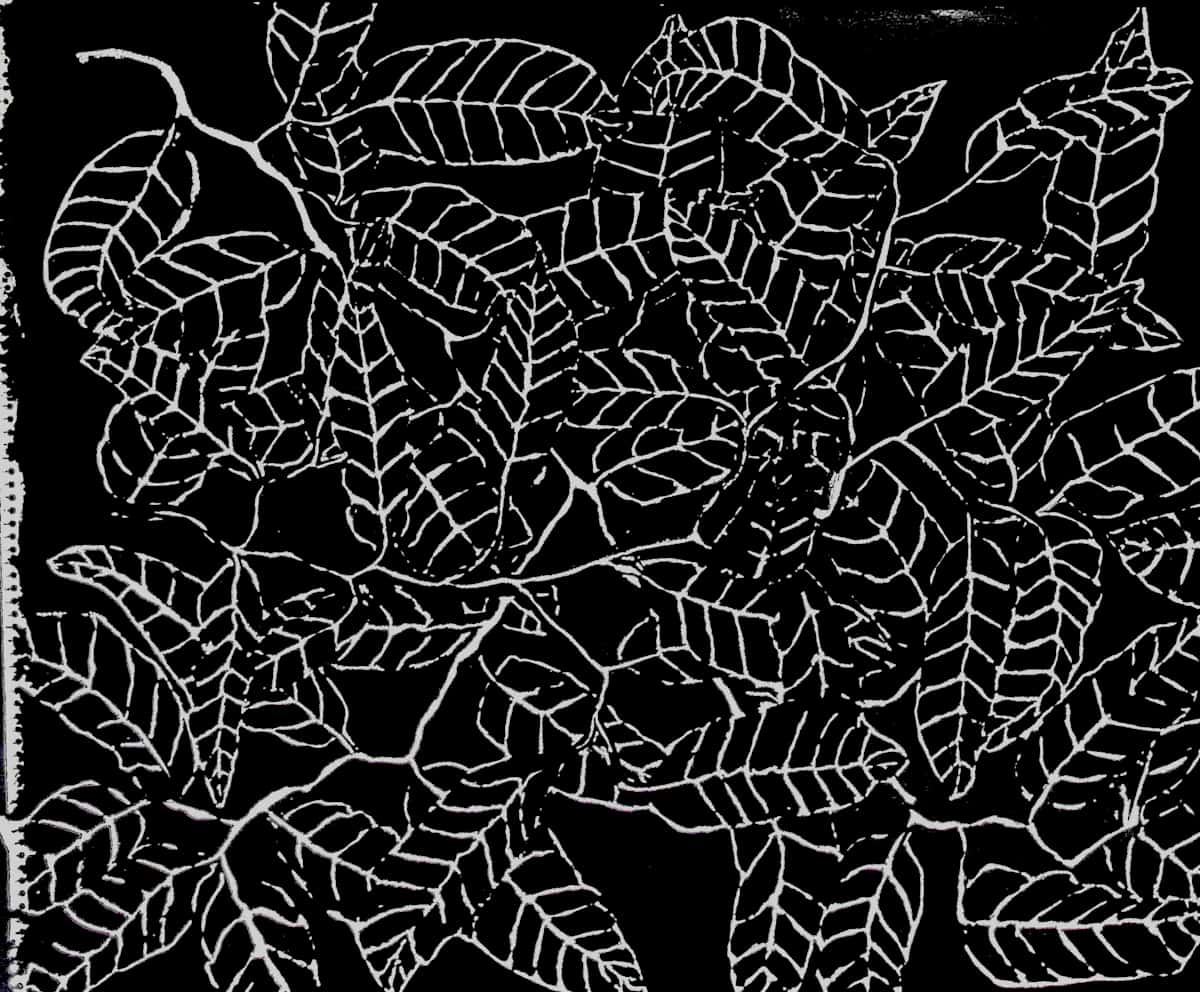 Sans titre (DPF 868) by Vincent Batbedat 