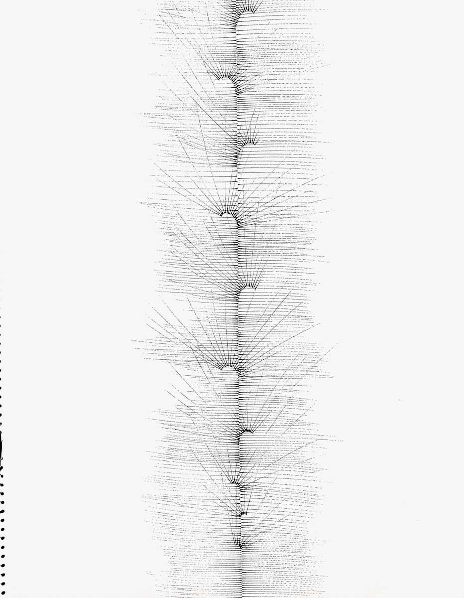 Sans titre (DPF 925) by Vincent Batbedat 