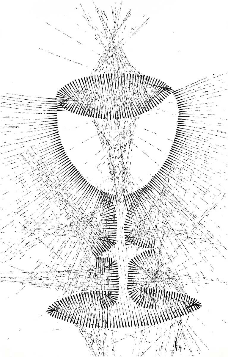 Sans titre (DPF93) by Vincent Batbedat 