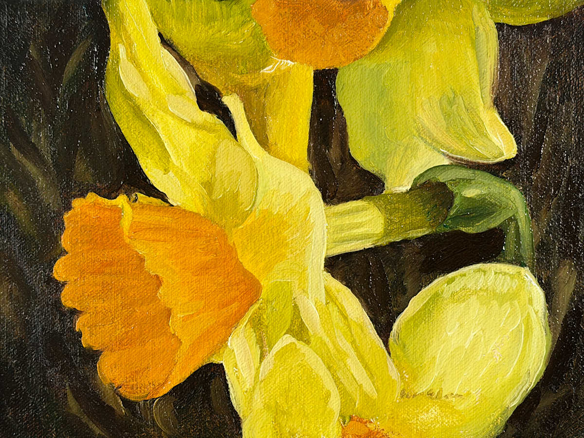 Daffodils by Barry Olofsson, Image 1.