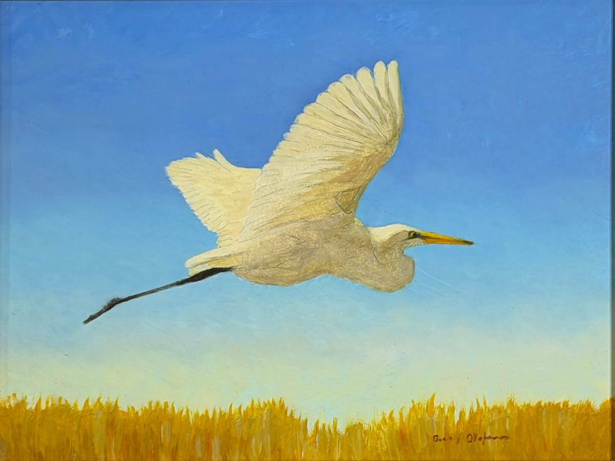 Egret by Barry Olofsson, Image 1.