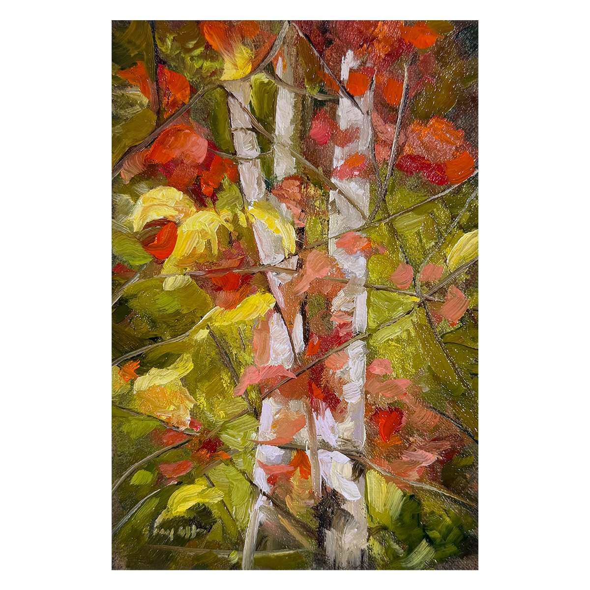 Fall Birches by Barry Olofsson, Image 1.
