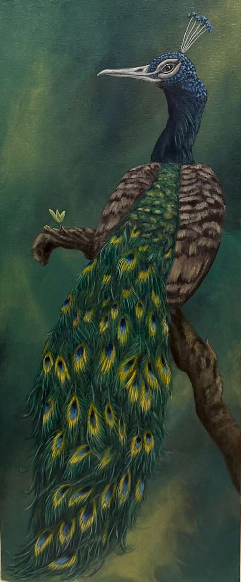 Letting Go by Erica Kyle Creations  Image: “Letting Go” represents  the quiet peace that comes when we release what no longer needs to be carried. Like the peacock lowering its feathers in rest, this moment reflects letting go of what no longer serves us and making room for something new to blossom.