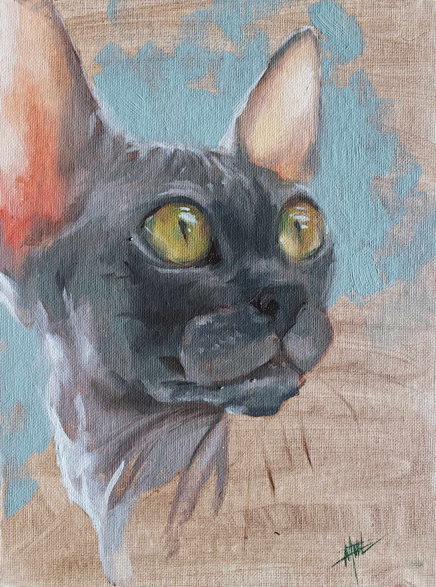 Grey Sphynx (Framed) by Michelle Dahl 