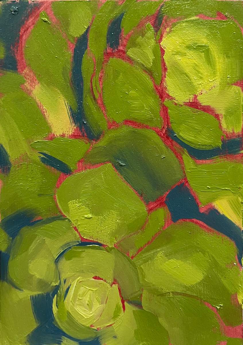 Succulents by Michelle Dahl 