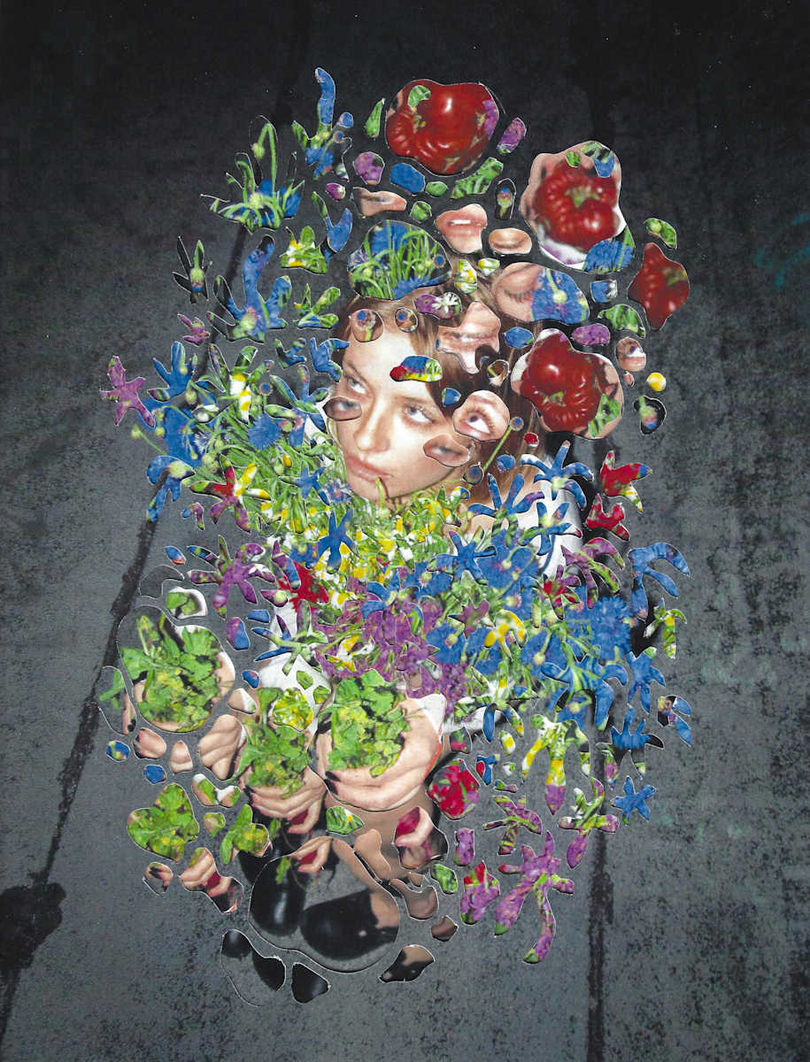 Harvest Moon by Grey Vanderwoude 