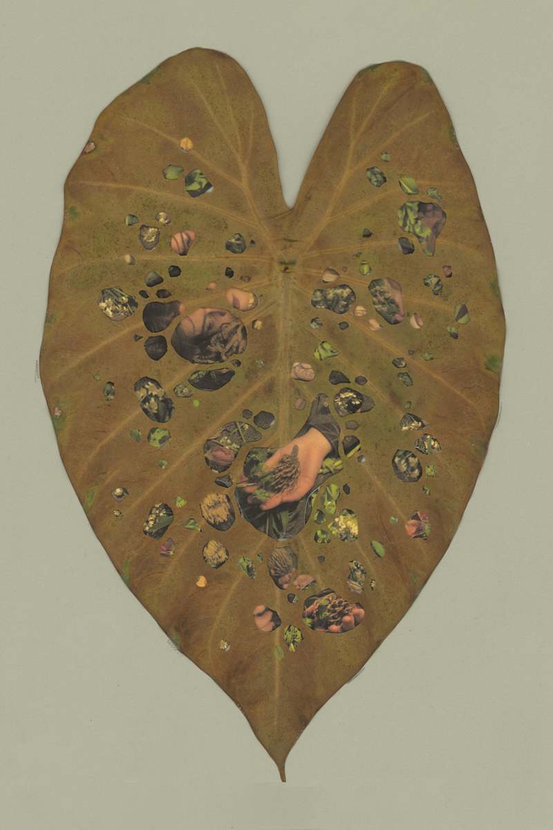 Burial by Grey Vanderwoude 