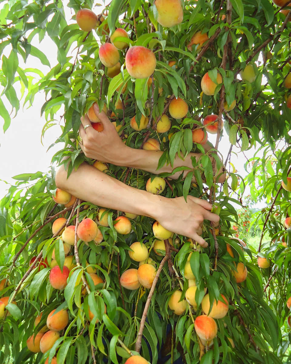 Held (photo) by Grey Vanderwoude 