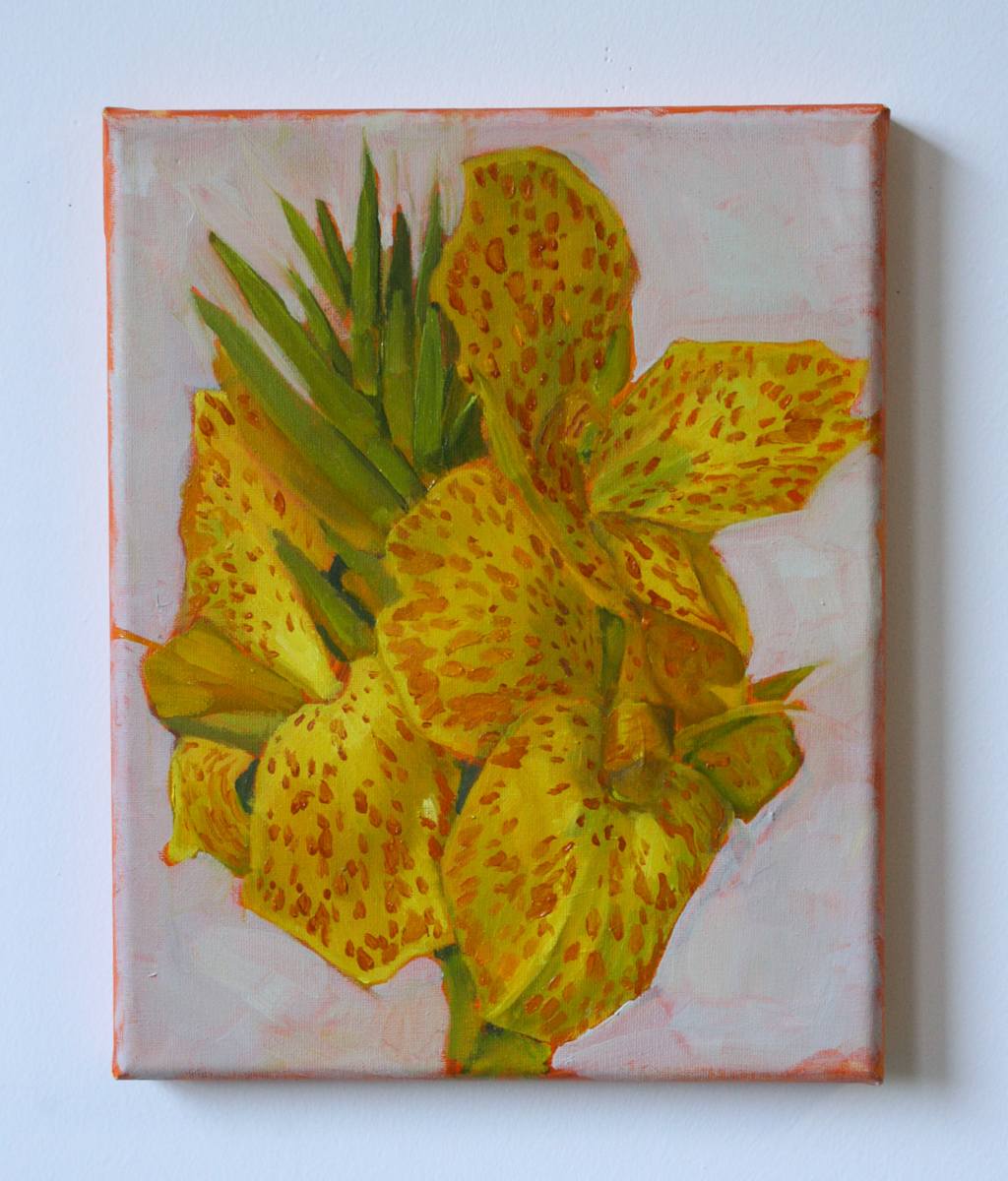 Canna Study by Grey Vanderwoude 