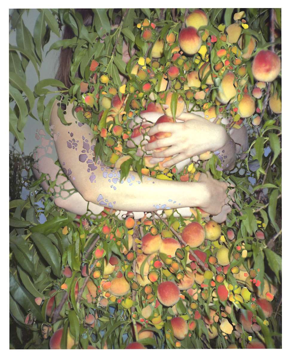 Holding by Grey Vanderwoude 