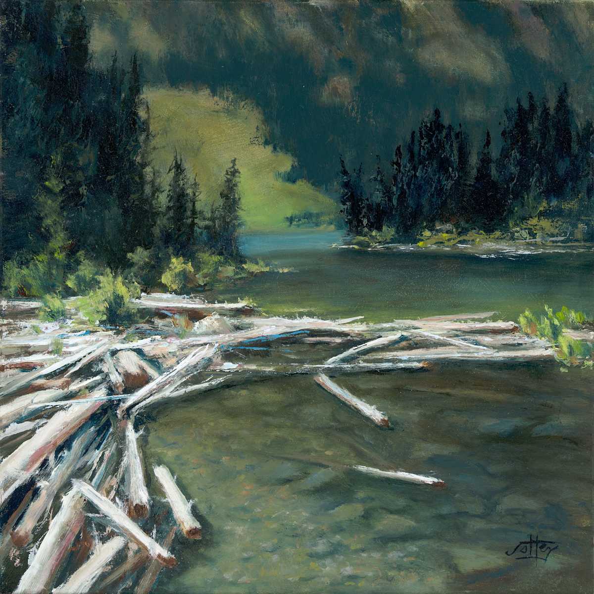 Logjam On The Lakeside by Ryan Jolley, Image 1.