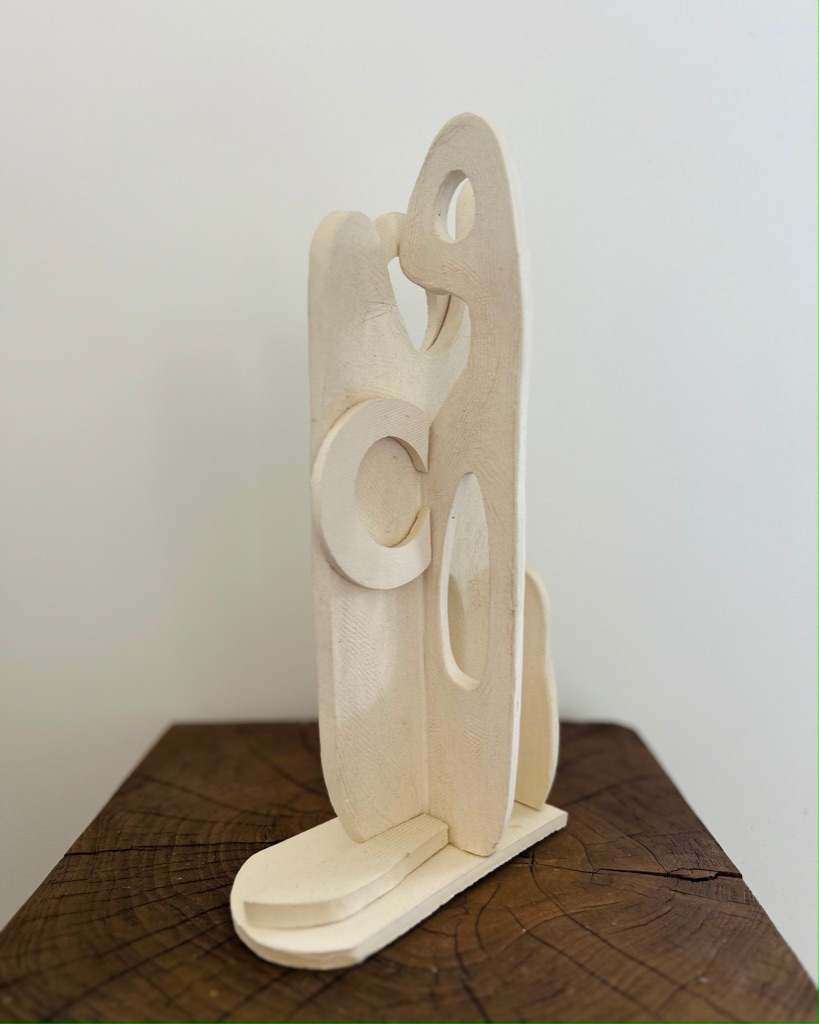 Attractor by Carla Roth 