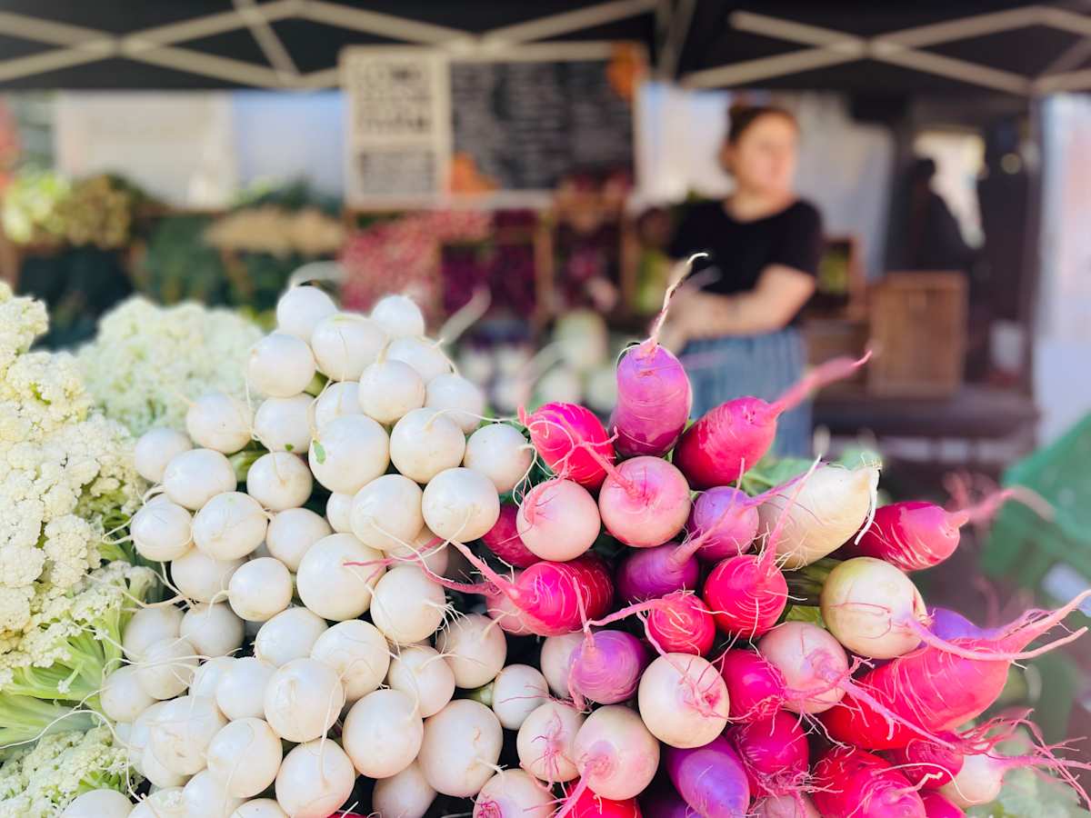 Abundance (Long Season Farm) by Amy Bandolik, Image 1.