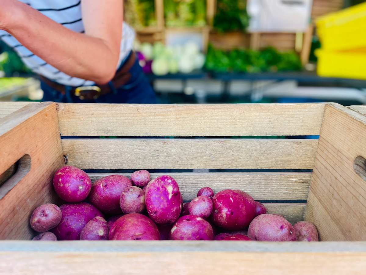 What the Crate Carries (Long Season Farm) by Amy Bandolik, Image 1.