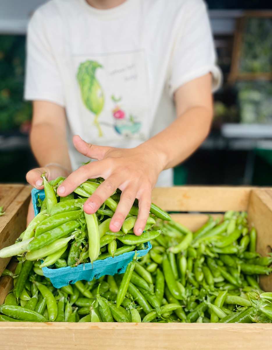 Filling (Long Season Farm) by Amy Bandolik, Image 1.