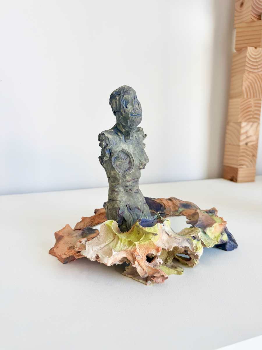 Waterfalls by Corinne Beardsley 