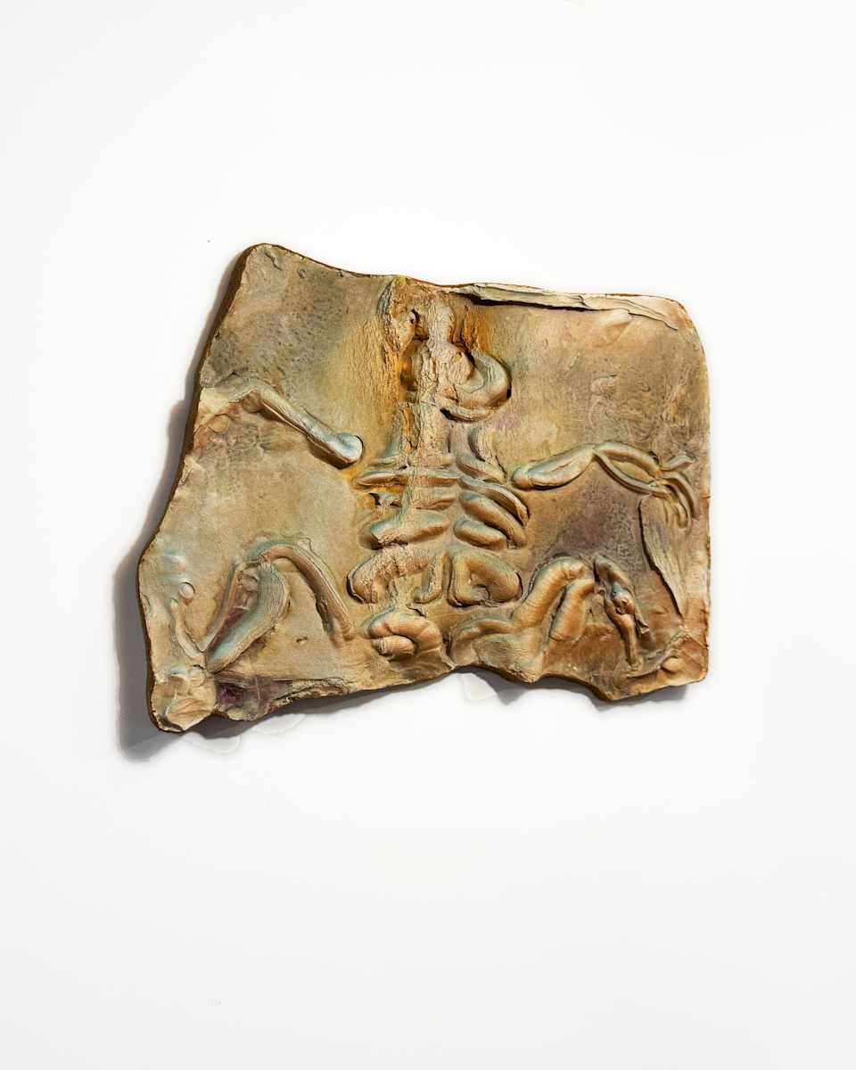 Splayed by Corinne Beardsley 