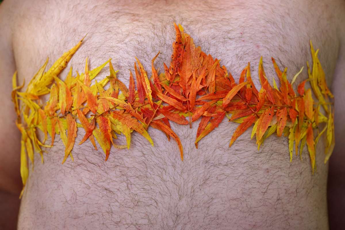 September Sumac by L. Nichols, Image 1.