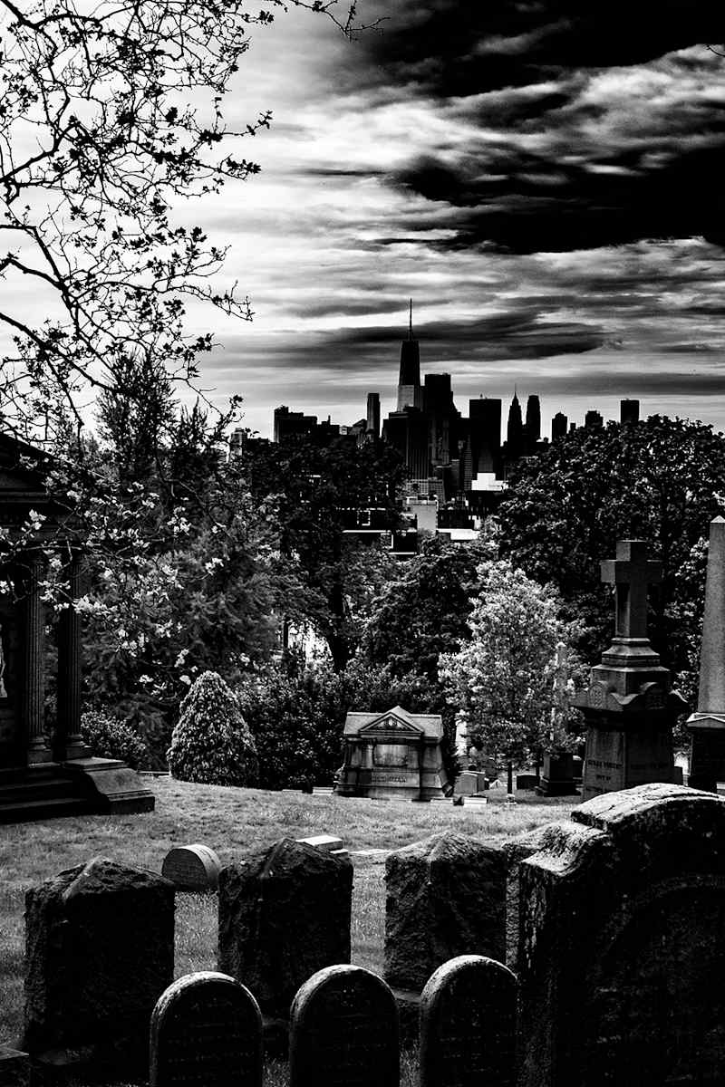 Kingdom by William A. Loeb  Image: Kingdom