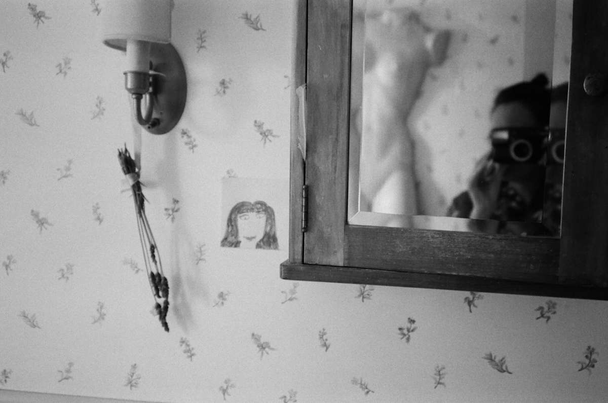 Lavender by Olaya Barr 