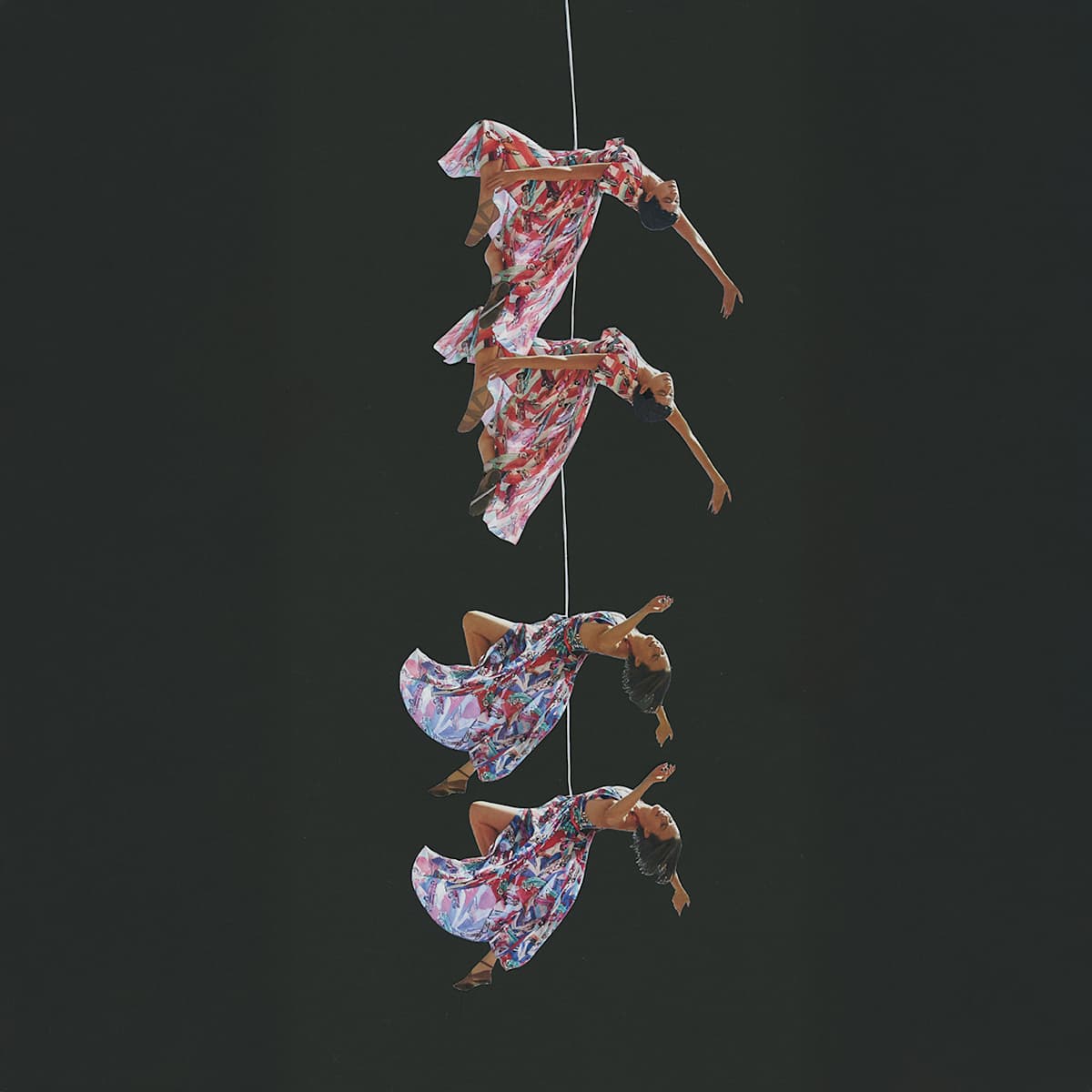 Connected by Camila Pombo, Image 1.