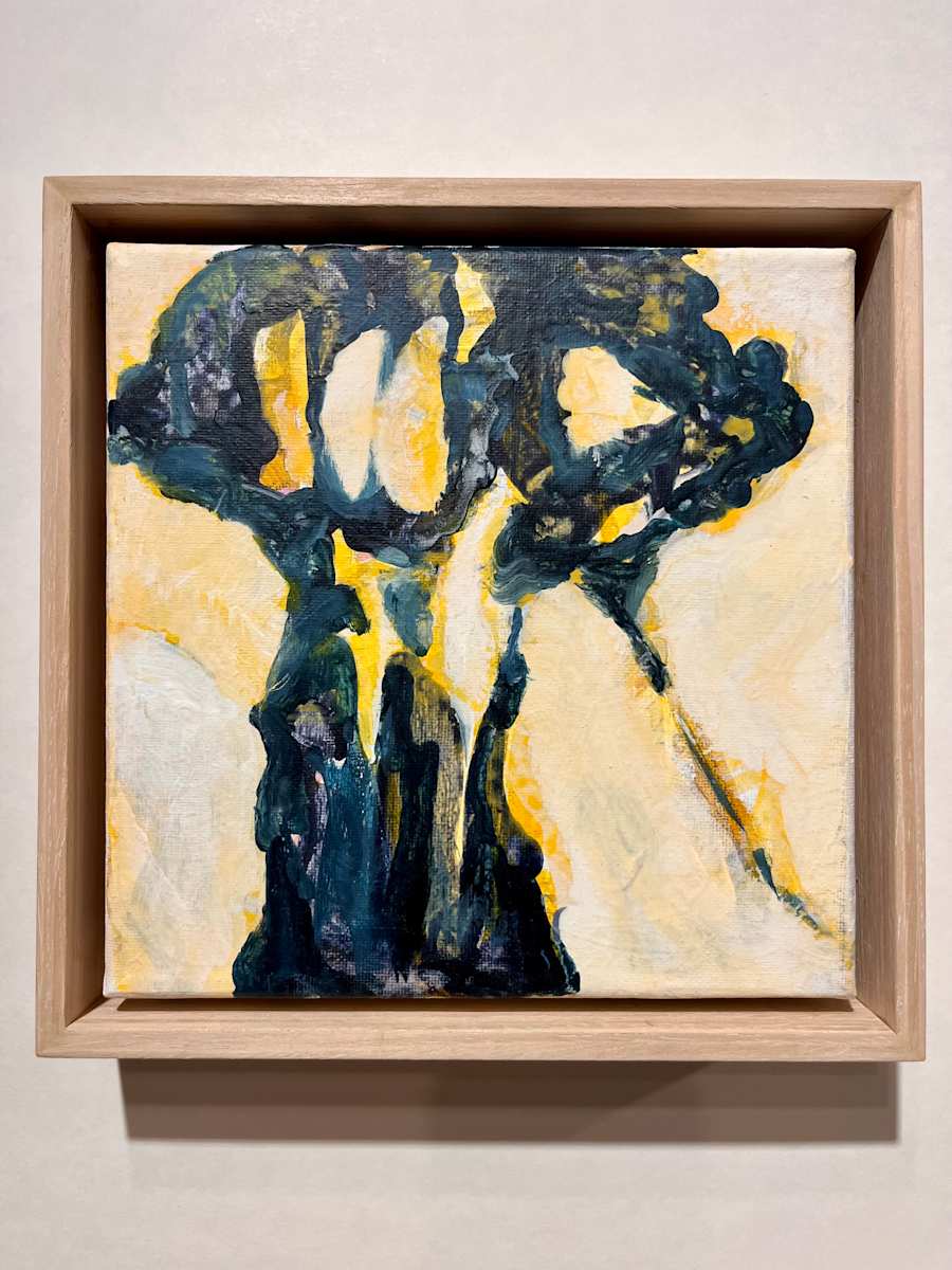 Yellow Birch by Kate Lawless  Image: Yellow Birch