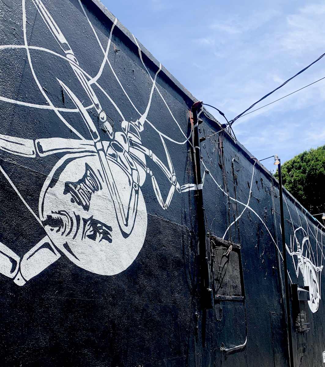 Black Widow at The Sycamore by Bianca Lago 