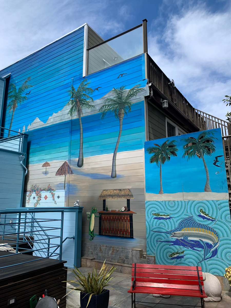 Cabo Backyard by Bianca Lago 