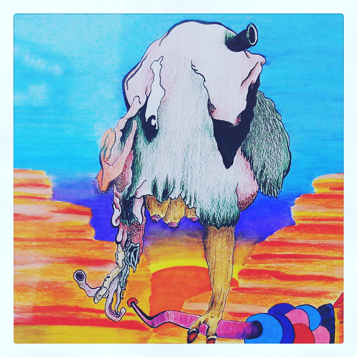 Desert Surreal by Bianca Lago 