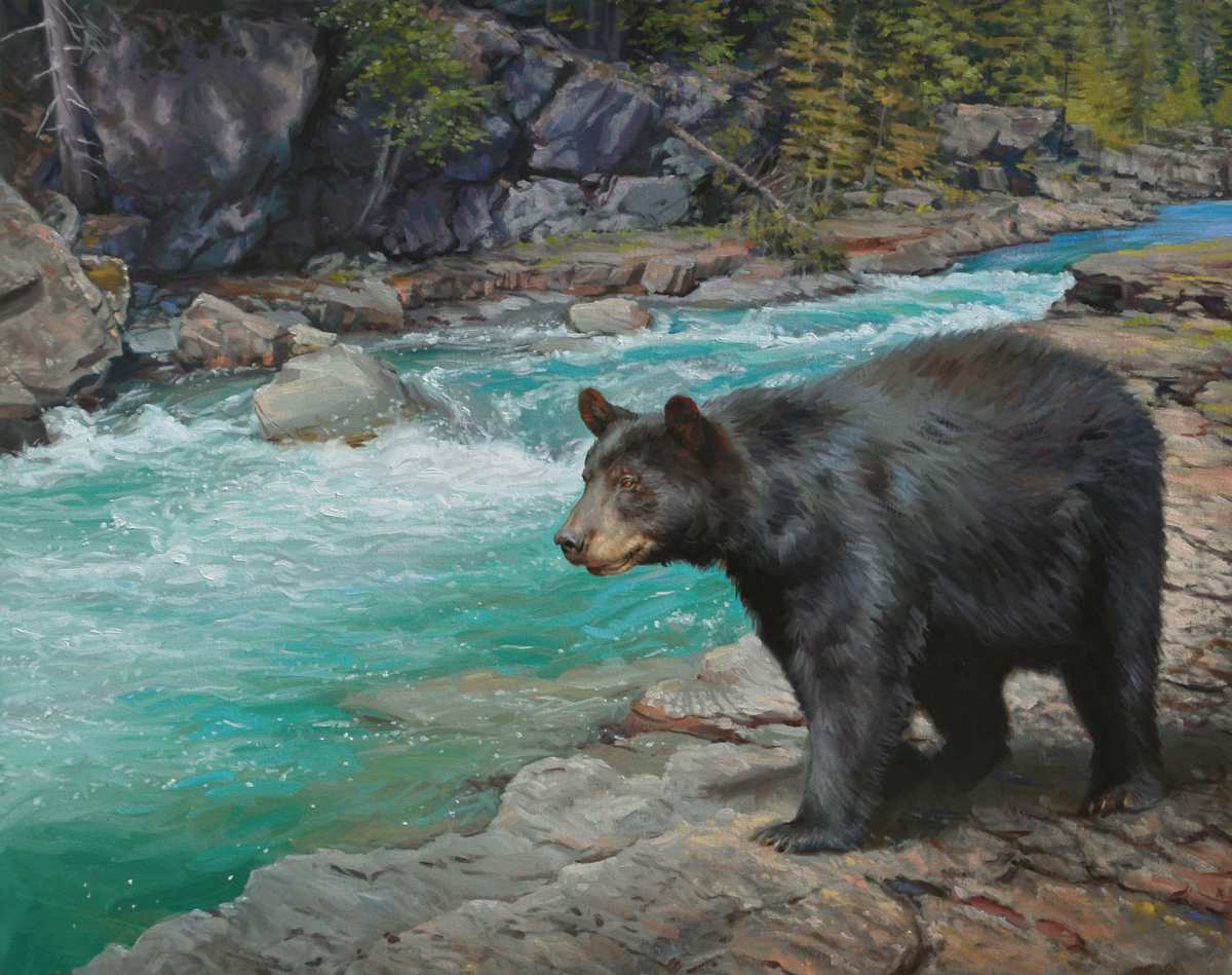Checking the Fridge - Black Bear by Ken Corbett 