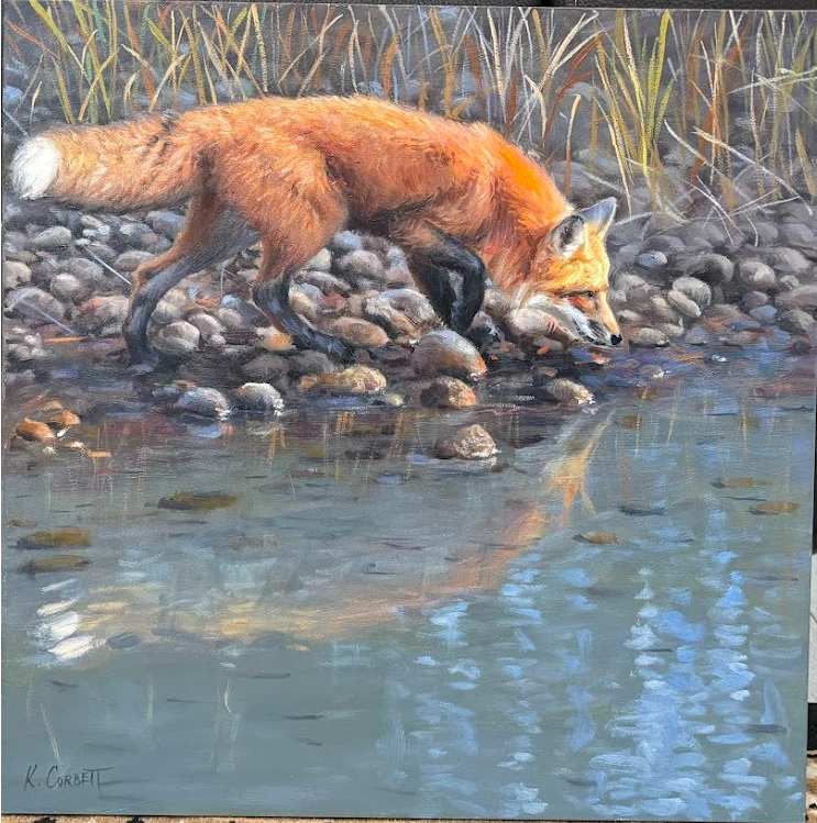 Fox by a river by Ken Corbett 