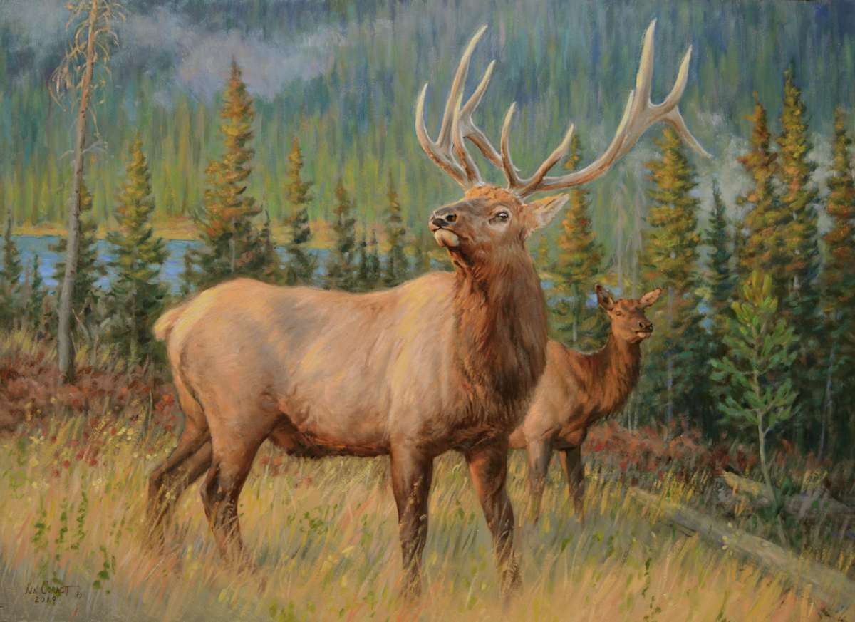 King for a Day - Elk by Ken Corbett 