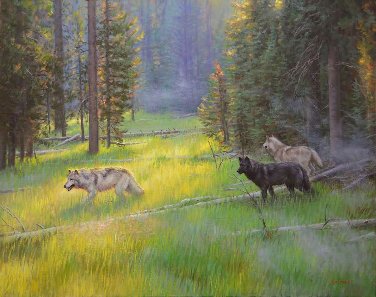 Light and Shadow - wolves by Ken Corbett, Image 1.