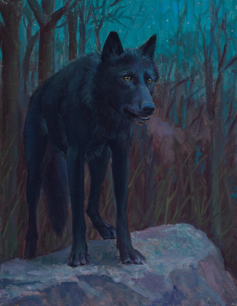 Night Wolf by Ken Corbett 