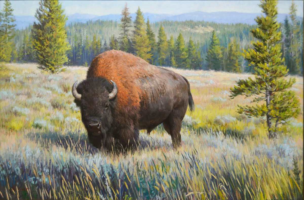 The Big Guy - Buffalo by Ken Corbett 