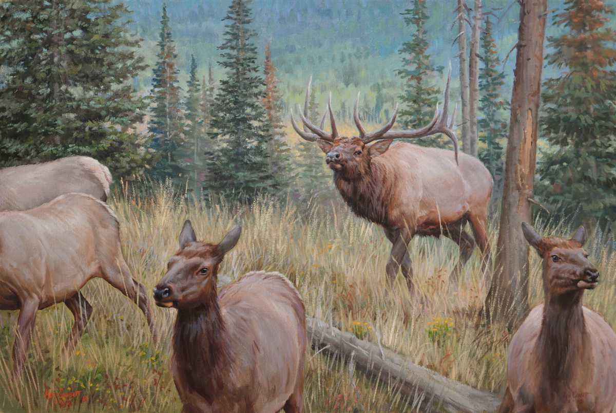 The Cowboy - Elk by Ken Corbett 